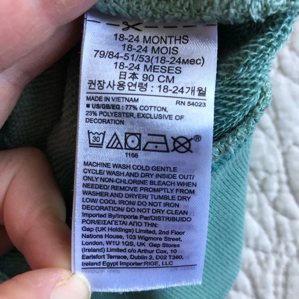 GAP Toddler Green Ombre Dinosaur “Reach for the sky” Sweatshirt Size 18 months